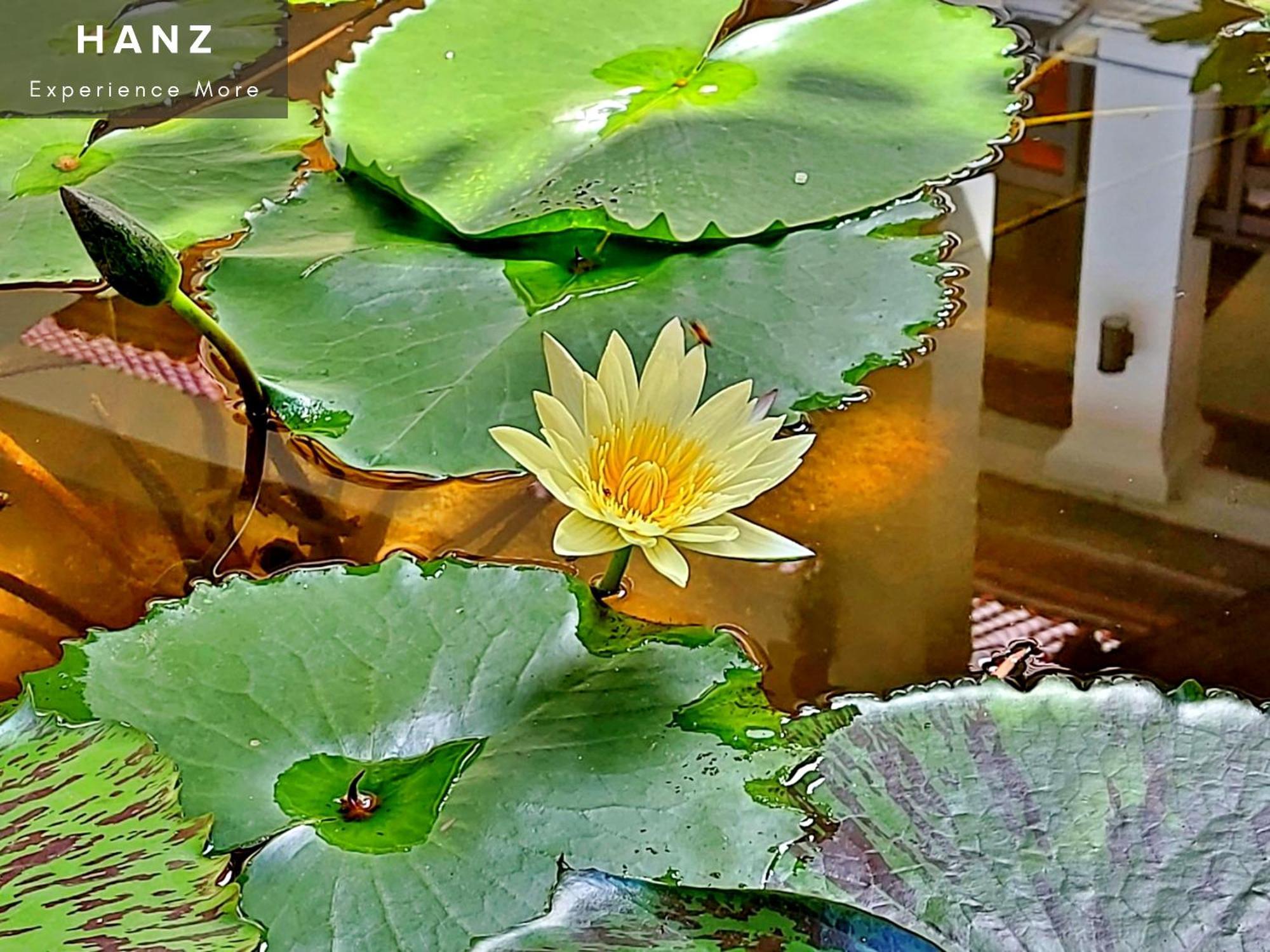 Sunrise Luang Prabang Hotel Luaran gambar